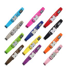 COLLAR PERRO RD LISO