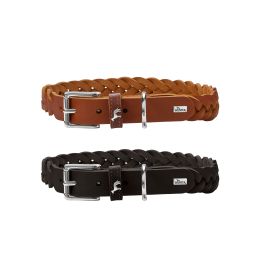 COLLAR SOLID EDUCATION SPECIAL 