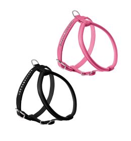 ARNES MODERN ART R&S PETIT LUXUS 