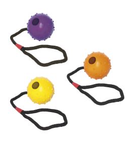PELOTA GOMA CON CUERDA 