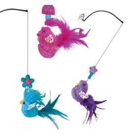 KONG GATOS WINDOW TEASER