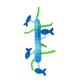 KONG KICKEROO STICKEROO