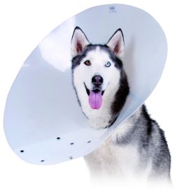 KVP SAF-T-SHIELD ISABELINO 