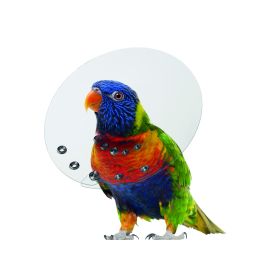 KVP SAFTSHIELD ISABEL PAJAROS 