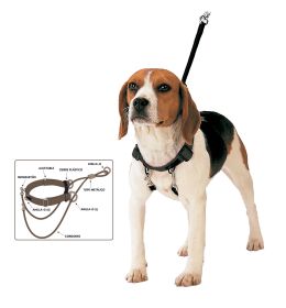 ARNES CORRECTOR DE TIRO 