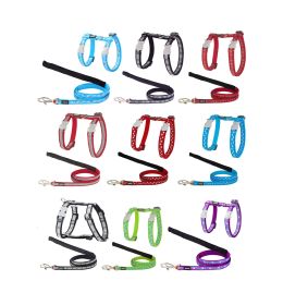 PETRAL-CORREA GATO RD 